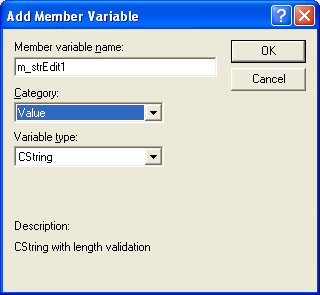 Entering the member variable name and type.